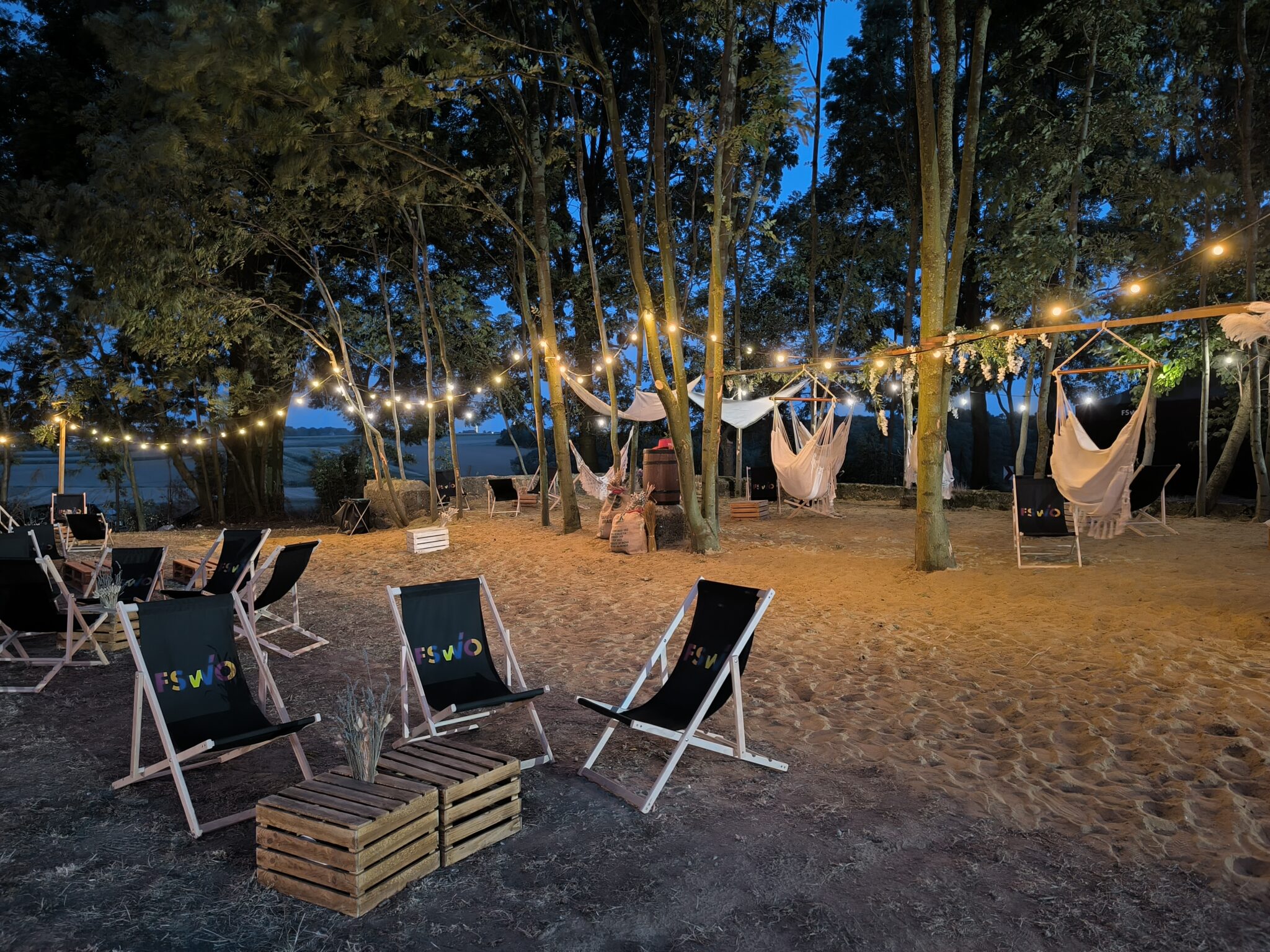 IMG_20240831_200802-scaled